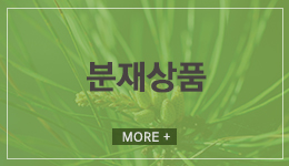 분재상품